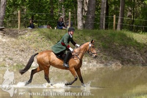 CFCC-2019-01348