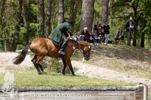 CFCC-2019-01351