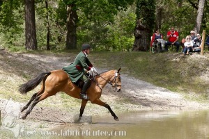 CFCC-2019-01353