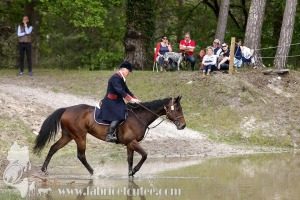 CFCC-2019-01357