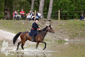 CFCC-2019-01358
