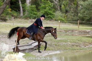 CFCC-2019-01359