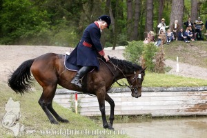 CFCC-2019-01363