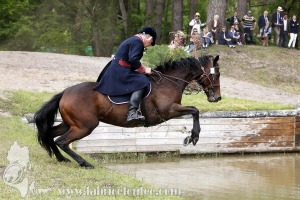 CFCC-2019-01364