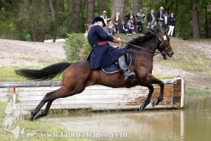 CFCC-2019-01365