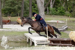 CFCC-2019-01366