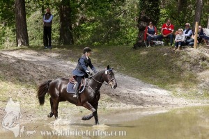 CFCC-2019-01369