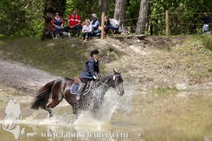 CFCC-2019-01370