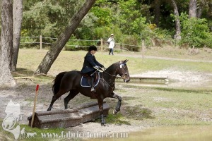 CFCC-2019-01371