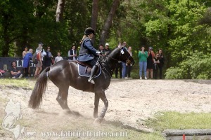 CFCC-2019-01377