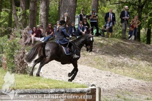 CFCC-2019-01378