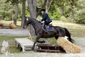 CFCC-2019-01379