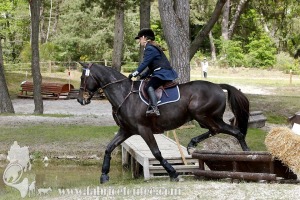 CFCC-2019-01380