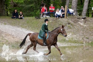 CFCC-2019-01381