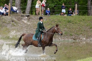 CFCC-2019-01382