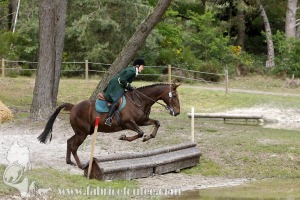 CFCC-2019-01383
