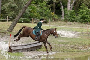 CFCC-2019-01384