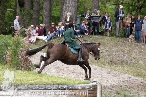 CFCC-2019-01388