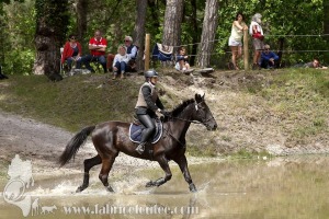 CFCC-2019-01392