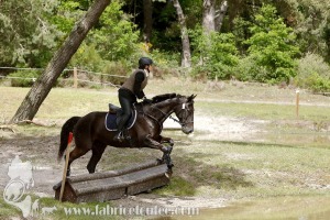 CFCC-2019-01394