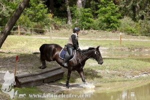 CFCC-2019-01395