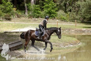 CFCC-2019-01396