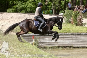CFCC-2019-01401