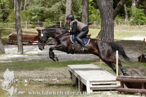 CFCC-2019-01404