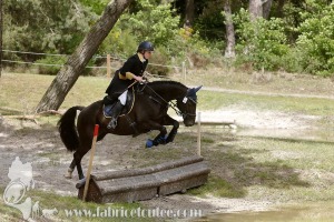 CFCC-2019-01408