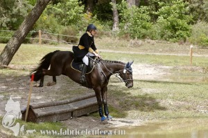 CFCC-2019-01409
