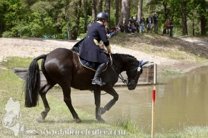 CFCC-2019-01414