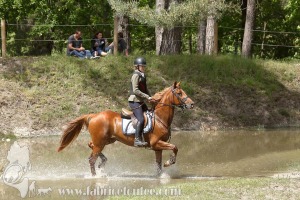 CFCC-2019-01421