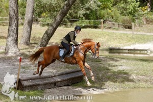 CFCC-2019-01423