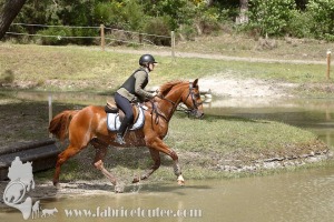 CFCC-2019-01424