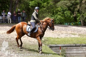 CFCC-2019-01428