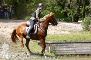 CFCC-2019-01429