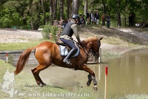 CFCC-2019-01431