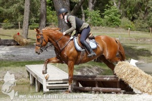 CFCC-2019-01432a