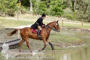 CFCC-2019-01437
