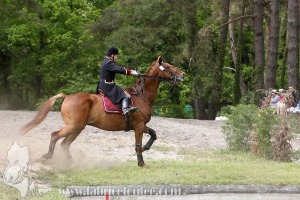 CFCC-2019-01440