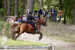 CFCC-2019-01441