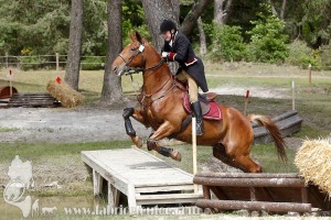 CFCC-2019-01442
