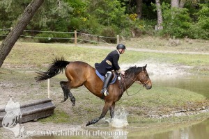 CFCC-2019-01446