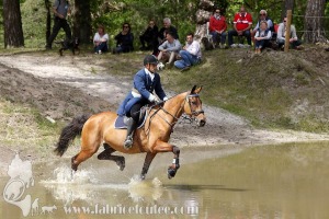 CFCC-2019-01458