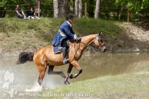 CFCC-2019-01460