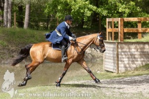 CFCC-2019-01461