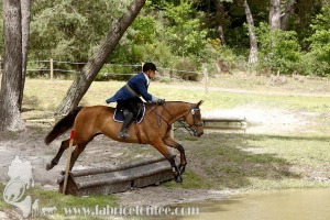CFCC-2019-01462