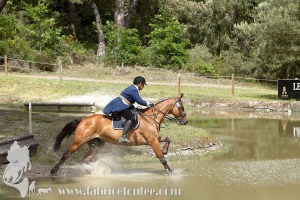 CFCC-2019-01463