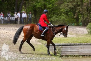 CFCC-2019-01480
