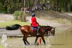 CFCC-2019-01483